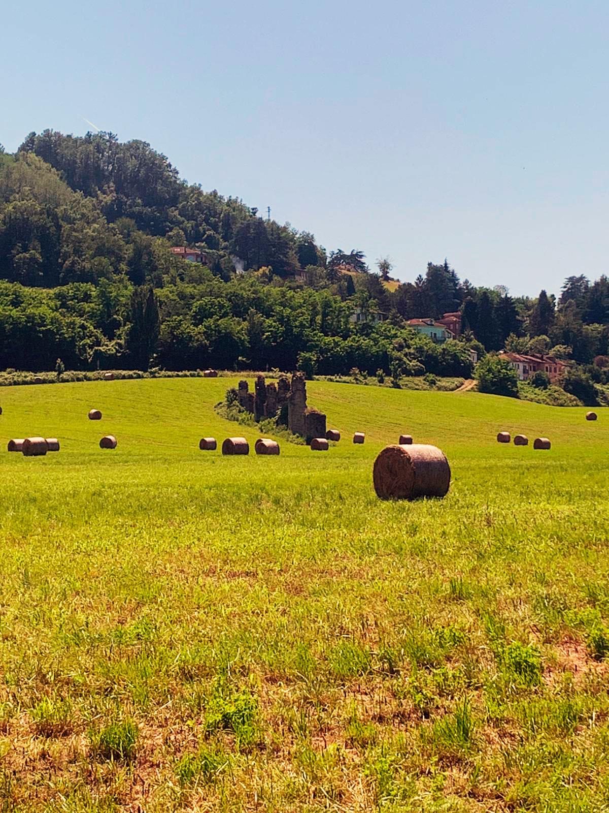 Paesaggio Kairos Casa Vacanze Monferrato